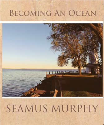 Becoming An Ocean by Seamus Murphy