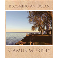 Becoming An Ocean by Seamus Murphy