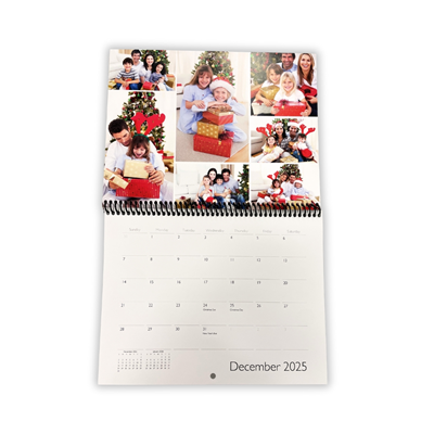 2025 Calendar (Standard Size)