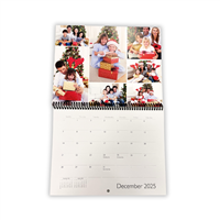 2025 Calendar (Standard Size)