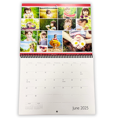 2025 Calendar (Large)